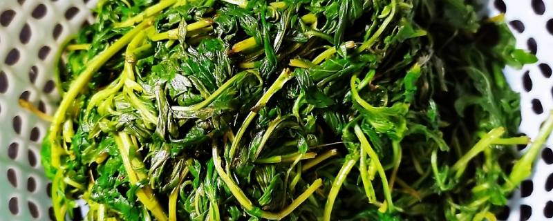 艾草煮熟后放冷冻能保存多久（艾草煮熟了放冰箱冷藏可以放多久）
