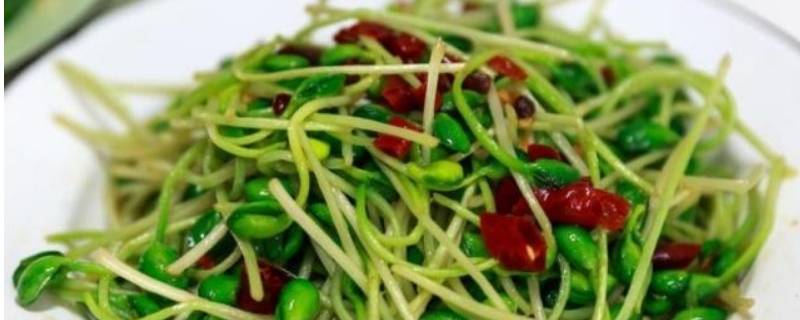 绿豆苗怎么做好吃（绿豆苗怎么做好吃法大全）