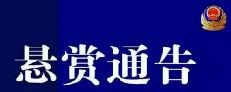 悬赏通告是什么意思