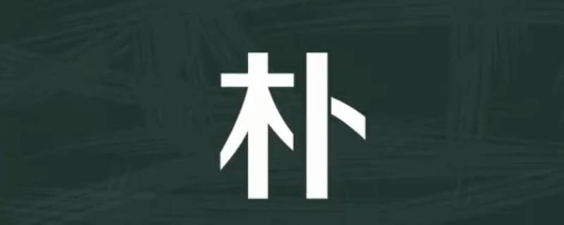 朴怎么读（朴怎么读组词）