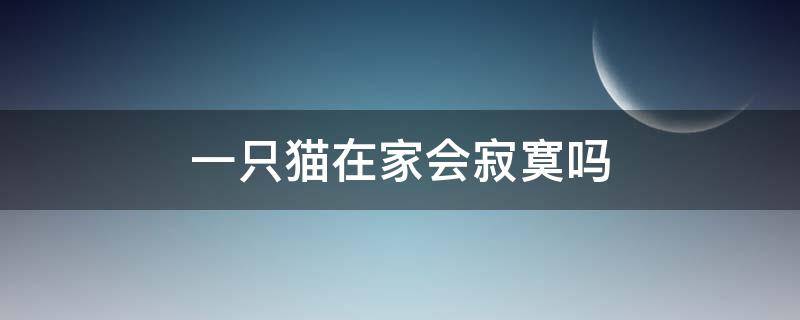 一只猫在家会寂寞吗 一只猫在家会不会寂寞