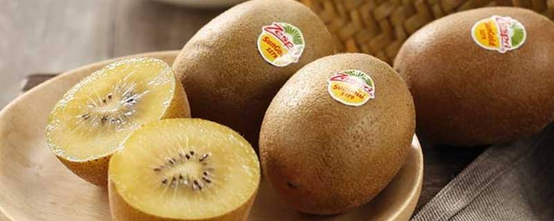 佳沛奇异果是国产还是进口（佳沛奇异果型号区别）