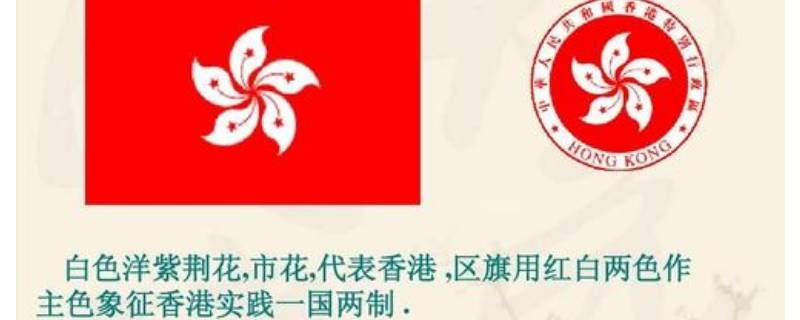 香港紫荆花的象征意义 紫荆花是香港的什么