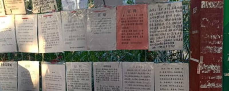 莲花山相亲角在哪（莲花山相亲角哪个门）