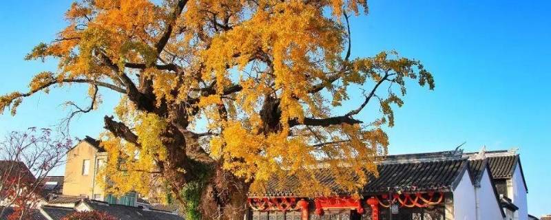 宜兴网红打卡地在哪里 宜兴新晋网红打卡地
