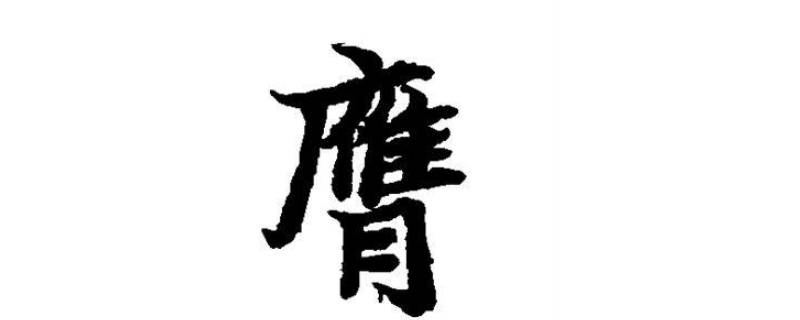膺怎么读（膺怎么读组词）