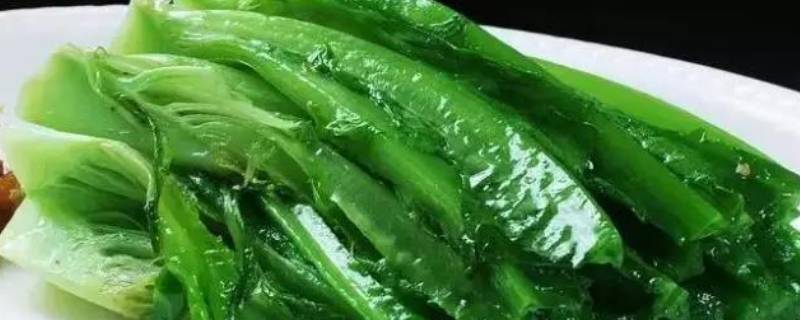 油麦菜可以生吃吗（油麦菜可以生吃吗凉拌）