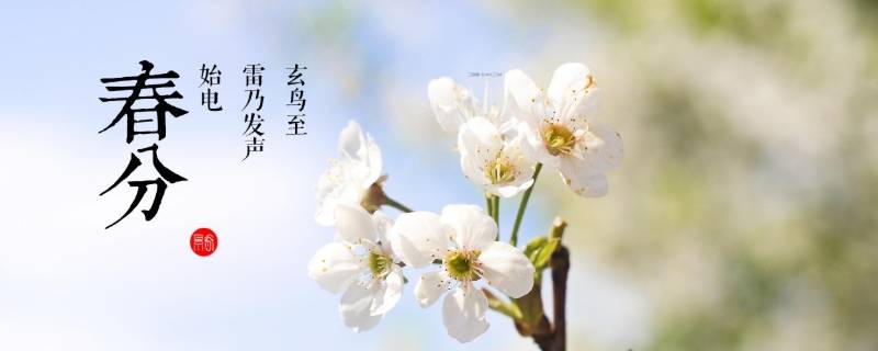 描写春分的唯美句子（描写春分的短句）