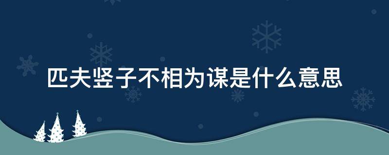 匹夫竖子不相为谋是什么意思 匹夫竖子不相为谋是什么意思