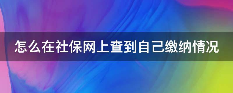 怎么在社保网上查到自己缴纳情况 网上缴纳社保后如何查询