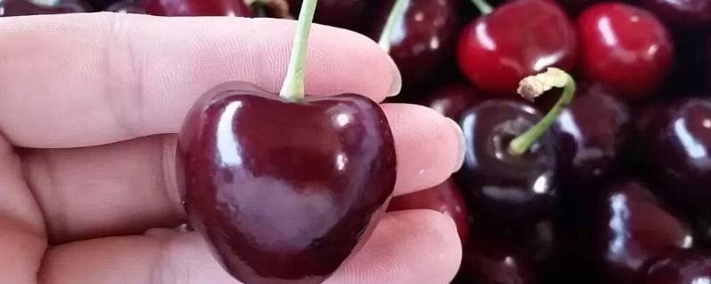 智利车厘子是进口的吗 智利车厘子是进口的吗能吃吗