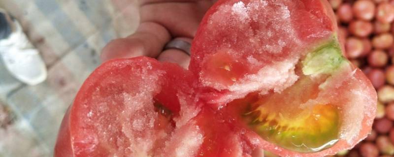 最初被认为有毒的狼桃是什么水果（最初被认为有毒而无法食用的“狼桃”是什么水果?）