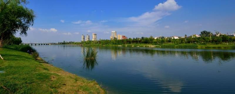 徒骇河发源地 徒骇河发源地为什么有水