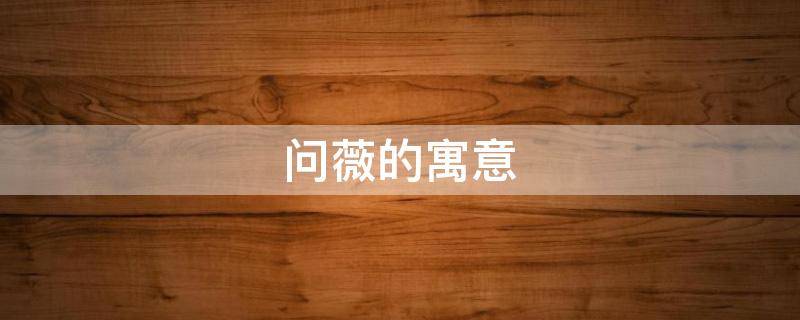 问薇的寓意（薇的象征意义）