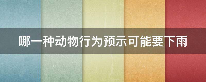 哪一种动物行为预示可能要下雨（哪一种动物行为预示可能要下雨了）