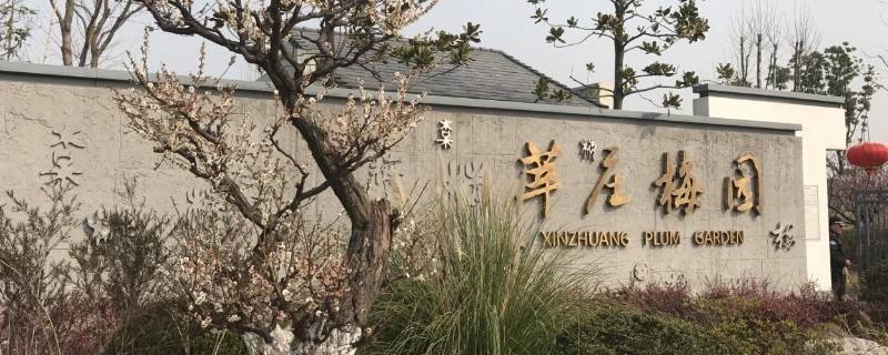 莘庄公园和莘庄梅园是一个地方吗（莘庄梅园和莘庄公园哪个梅花多）