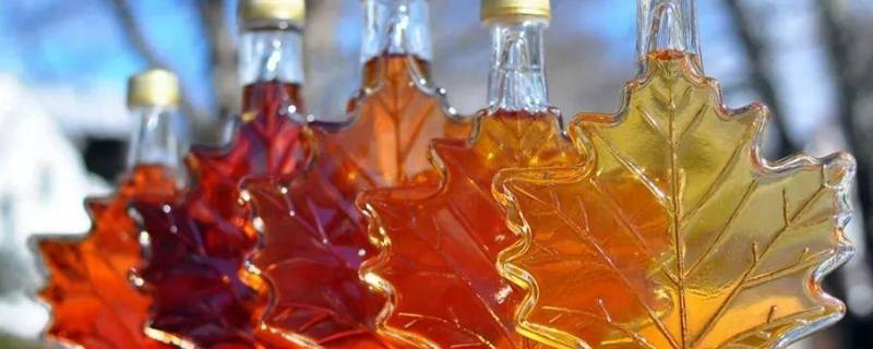 加拿大特色 加拿大特色文化