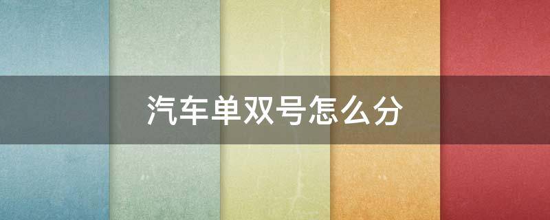 汽车单双号怎么分（机动车单号双号怎么分）