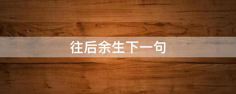 往后余生下一句 此生有你,何其有幸,往后余生下一句