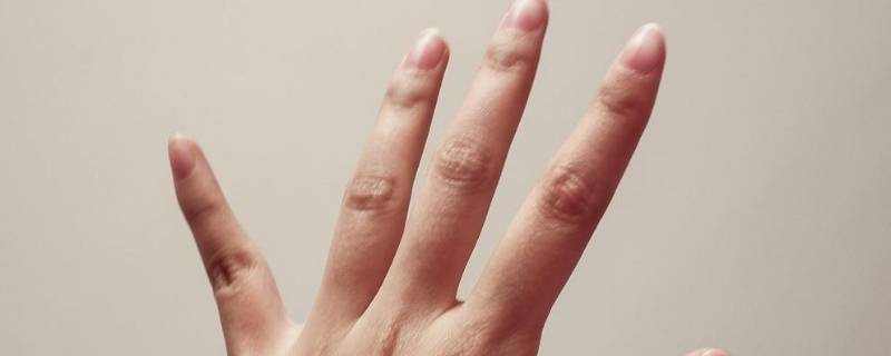 环指指的是哪个手指（环指指的是哪个手指头）