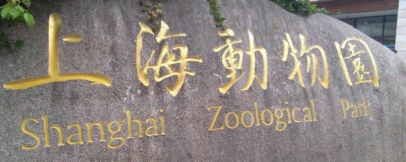 上海动物园门票当天可以买吗（上海动物园门票当天可以买吗多少钱）