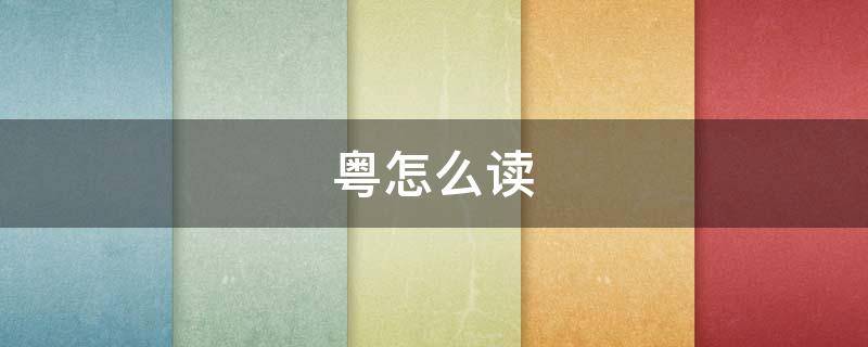 粤怎么读（粤怎么读是哪个省的简称）