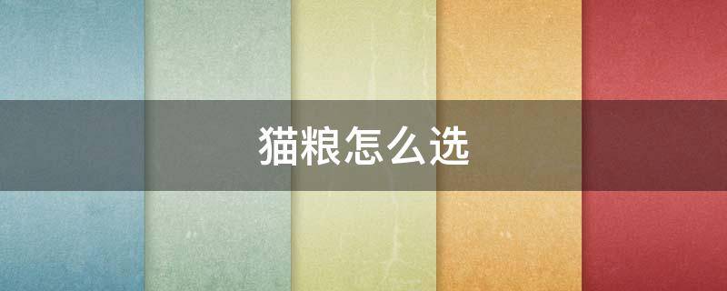 猫粮怎么选 幼猫猫粮怎么选