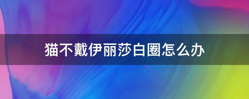 猫不戴伊丽莎白圈怎么办 猫不带伊丽莎白圈怎么办