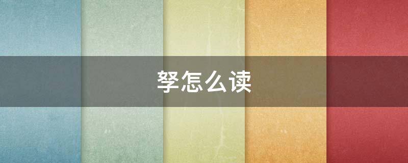 孥怎么读（孥怎么读什么意思）