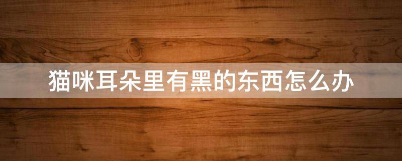 猫咪耳朵里有黑的东西怎么办 猫咪耳朵里有黑的东西怎么办图片