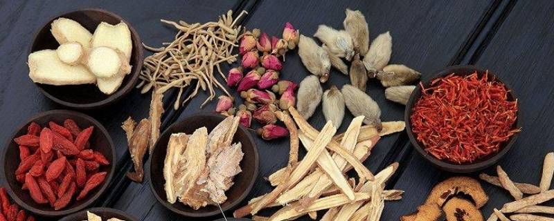 中医是文科生还是理科生 中医应该学文科还是理科