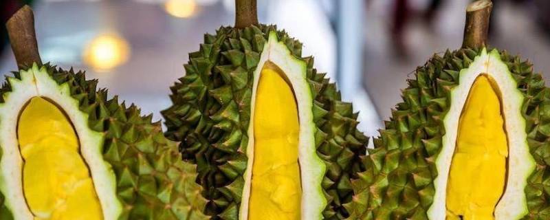 打开的榴莲没熟怎么办（打开的榴莲没熟怎么办视频）
