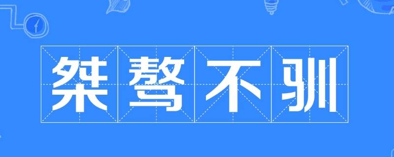 桀骜不驯怎么读（桀骜不驯怎么读什么意思）