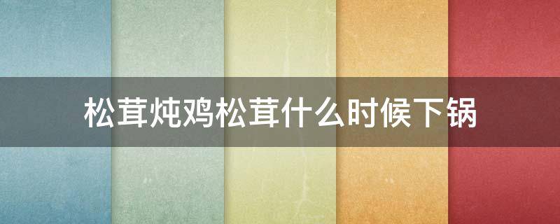 松茸炖鸡松茸什么时候下锅（松茸炖鸡松茸什么时候下锅干）