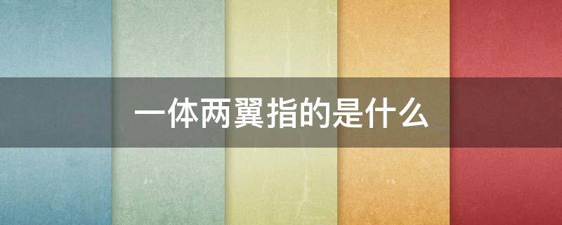 一体两翼指的是什么（农行一体两翼指的是什么）
