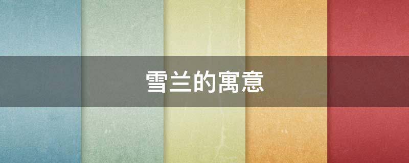 雪兰的寓意（香雪兰白色寓意是什么）