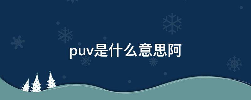 puv是什么意思阿 puv和pua区别