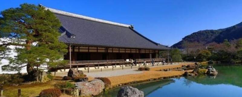 天龙寺在哪里（天龙寺在哪里最近）