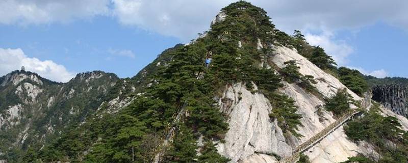 天堂寨海拔最高多少米（天堂寨海拔最高多少米以上）