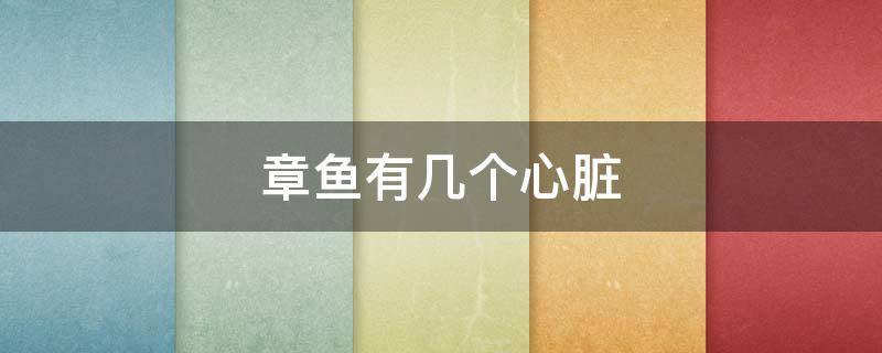 章鱼有几个心脏 章鱼有几个心脏和几个大脑