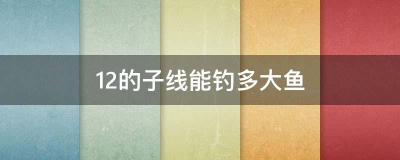 1.2的子线能钓多大鱼 12的子线能钓多大鱼