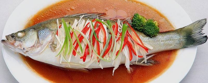蒸着吃的鱼都有什么鱼（蒸着吃的鱼都有什么鱼图片）
