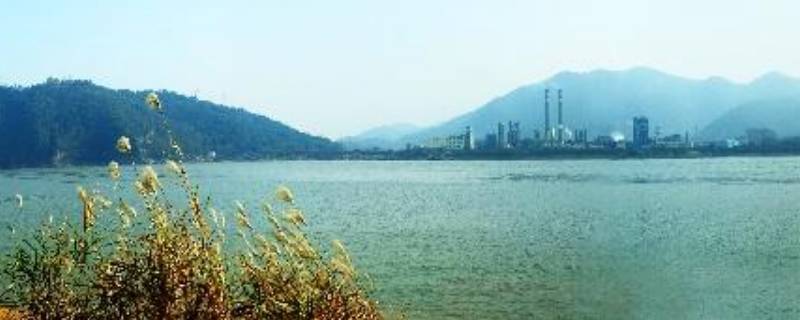 西塞山网红江滩在哪（西塞山江滩公园地图）