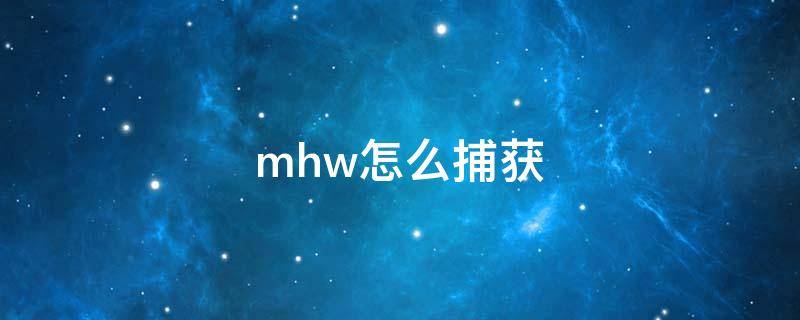 mhw怎么捕获（mhw怎么捕获大型怪物）