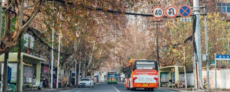 康复路在哪 康复路在哪个区