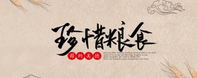 节约粮食的感想（节约粮食的感想500字）