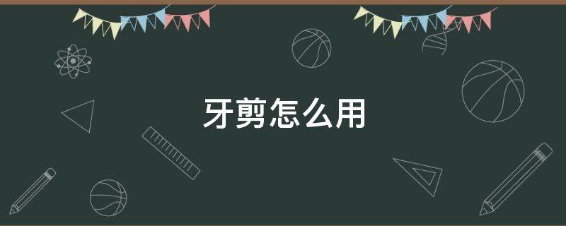 牙剪怎么用 宠物牙剪怎么用