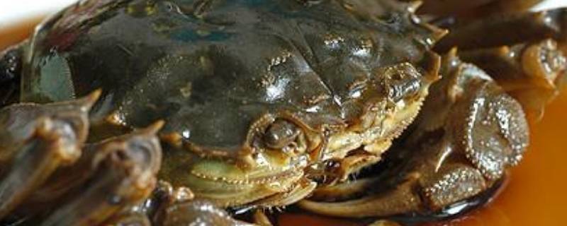 济宁八大名吃（济宁四大名吃）