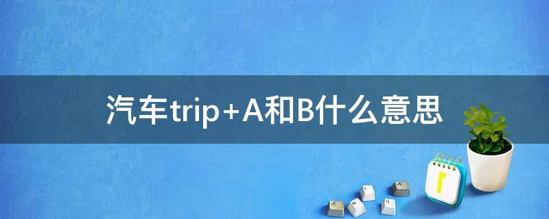汽车trip 汽车trip按键怎么用