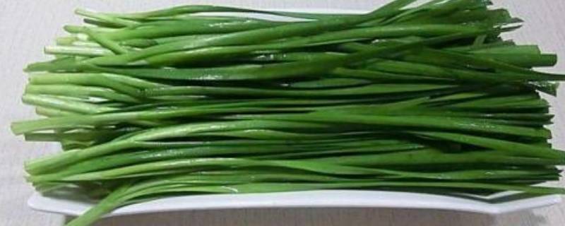 像葱又像韭菜的菜（像葱又像韭菜的菜 空心）